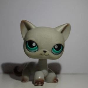 LPS Littlest Pet Shop Shorthair Chat Européen #391 - Photo 1/3