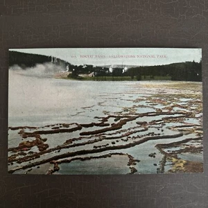 Antique Postcard YELLOWSTONE National Park Biscuit Basin Scheuber Drugs Publish - Picture 1 of 2