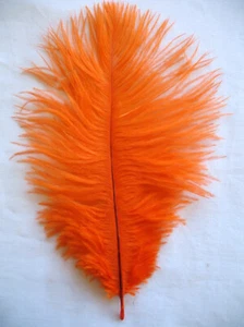 Plumas de avestruz naranja 12-16 pulgadas de largo por cada una - Imagen 1 de 2