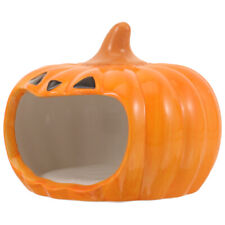  Adorable Hideout House Hamster Chinchilla Pumpkin House Hamster Cooling House
