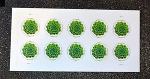 2017USA #5198 Global Forever Rate - Green Succulent - Sheet 10 Mint postage sase - Picture 1 of 2