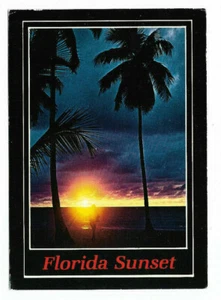 Postkarte Florida Sonnenuntergang Daytona Beach Tampa, FL * 4 x 6 farbig verschickt 1991 - Bild 1 von 2