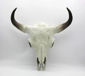 Teschio di toro rifinito e dipinto a mano - Buffalo Head Skull craftsmanship - Imagen 1 de 7