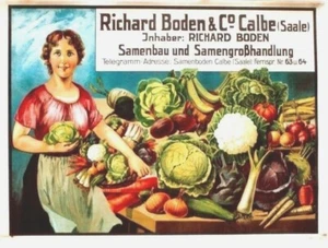 Original vintage poster VEGETABLE SEEDS GREEN FOOD c.1920 - Picture 1 of 1
