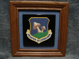 3D Framed Fired Ceramic Mushroom Art Tile Shroom Rare Psych Fungi Sand Painting - Picture 1 of 9