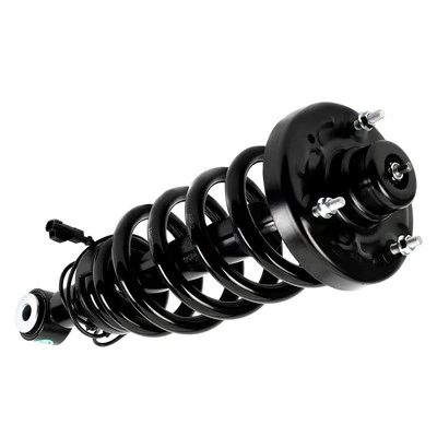 For Ford Expedition 15-17 Arnott Rear Driver Side Complete Strut Assembly - Imagem 1 de 4