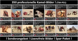 350 Lizenzfreie Profi-Bilder/Fotos! 14x Kamele Royalty Free Photoshop NP 265,- - Bild 1 von 15