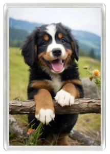 BERNESE MOUNTAIN PUPPY BEAUTIFUL DOG ART PRINT NOVELTY FRIDGE MAGNET GREAT GIFT - Picture 1 of 1