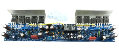 L50 500W 8Ohm Full Bridge Mono Amplifier Board + Aluminum Professional Edition - Image 1 of 4