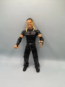 FIGURA DE ACCIÓN DE LUCHA LIBRE WWE WWF JEFF HARDY JAKKS CLÁSICA SUPERESTRELLA SERIE 21 - Imagen 1 de 2