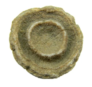 Stromatolite Fossil Morocco Small 12.39 grams - Picture 1 of 5