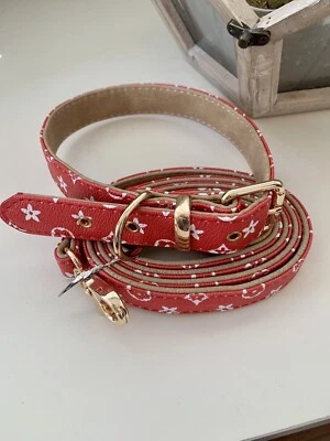 Collar monograma perro de lujo con correa a juego conjunto combo talla XL Foto 1 de 3