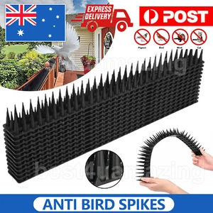 12-60pcs Bird Spikes Deterrent Anti Cat Human Possum Spiked Fence Mouse Control - Picture 1 of 23
