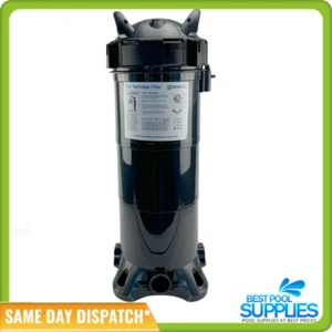 Zodiac Titan ZCF200 | Astral Hurlcon ZX200 / ZX250 Cartridge Filter - Genuine - Picture 1 of 8
