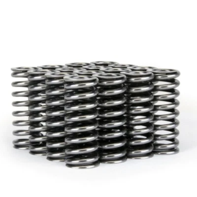 Skunk2 Alpha Series Valve Spring Set (Honda D-Series VTEC) - Image 1 of 4