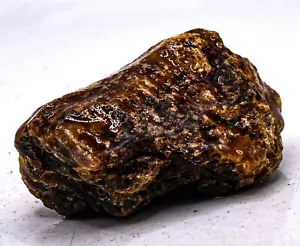 225ct Bernstein grober Natur Edelstein Fossil Kristall Mineral Rohpräparat Indonesien - Bild 1 von 6