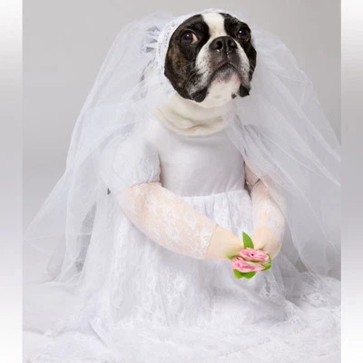 Dog Bride White Wedding Gown Cute Fancy Dress Up Halloween Pet Dog Costume Sz L - Image 1 of 4