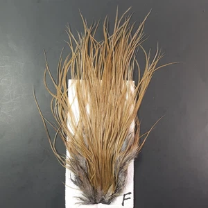 Olive Honey Ginger Rooster Saddle Hackle Long Dry Fly Tying Feathers #F - Picture 1 of 6