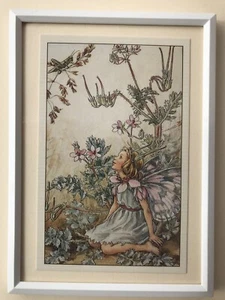 Flower Fairies framed print - 'The Stork's Bill Fairy' - Cicely Mary Barker 1948