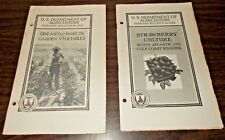 Lot 2 Diseases & Insects Garden Vegetables+ Strawberry Culture S. Atlantic, Gulf