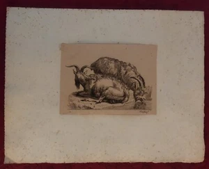Gravure XIX Siècle: Chèvres - Berchem Nicolaes: Peintre animalier - Picture 1 of 3