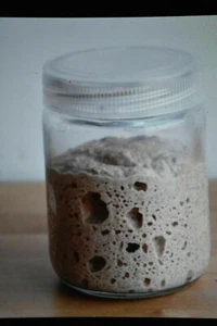 Tangy sehr sauer ORIGINAL KAI SAN FRANCISCO SAUERTEIG STARTER spritzig sauer - Bild 1 von 12