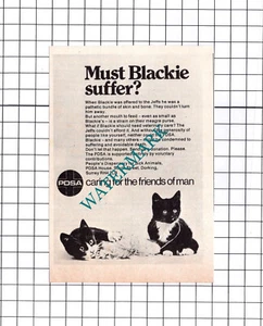 PDSA Cat Advert - 1976 Small Clipping / Print - Picture 1 of 1