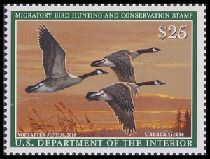US RW84 Canada Geese $25 single MNH 2017-2018 - Picture 1 of 1