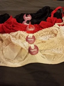 Neu mit Etikett 6 Stück Damen-BH mit Bügel und Spitze in Diphia-Qualität ohne Polsterung Größe 38DD - Bild 1 von 5