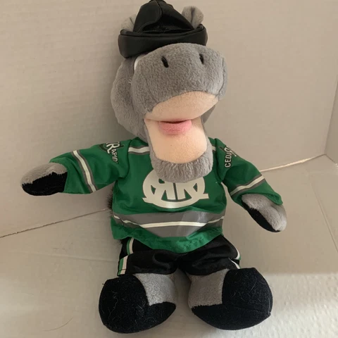 Cedar Rapids, Iowa Hockey Team Roughrider Ricochet Mascot by Market Identity Cover