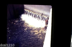 Original 3D Stereo Realist Slide #A52 FISH - Picture 1 of 1