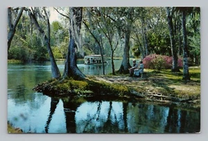 Postkarte Silver River Silver Springs Florida verglaster Boden Touristenboot um 1961 - Bild 1 von 2
