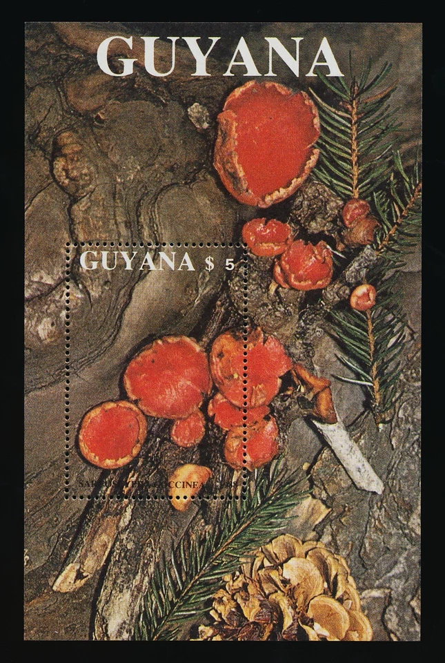 Guyana Scott #2011 Souvenir Sheet, Extra Fine Centering (Mint Never Hinged) - Image 1 of 1