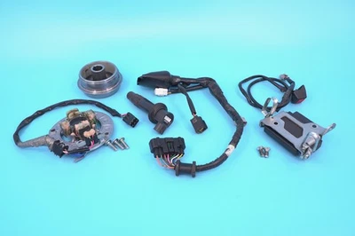Yamaha YZ250F 2007 06-09 sistema eléctrico estator CDI volante arnés de encendido Foto 1 de 4