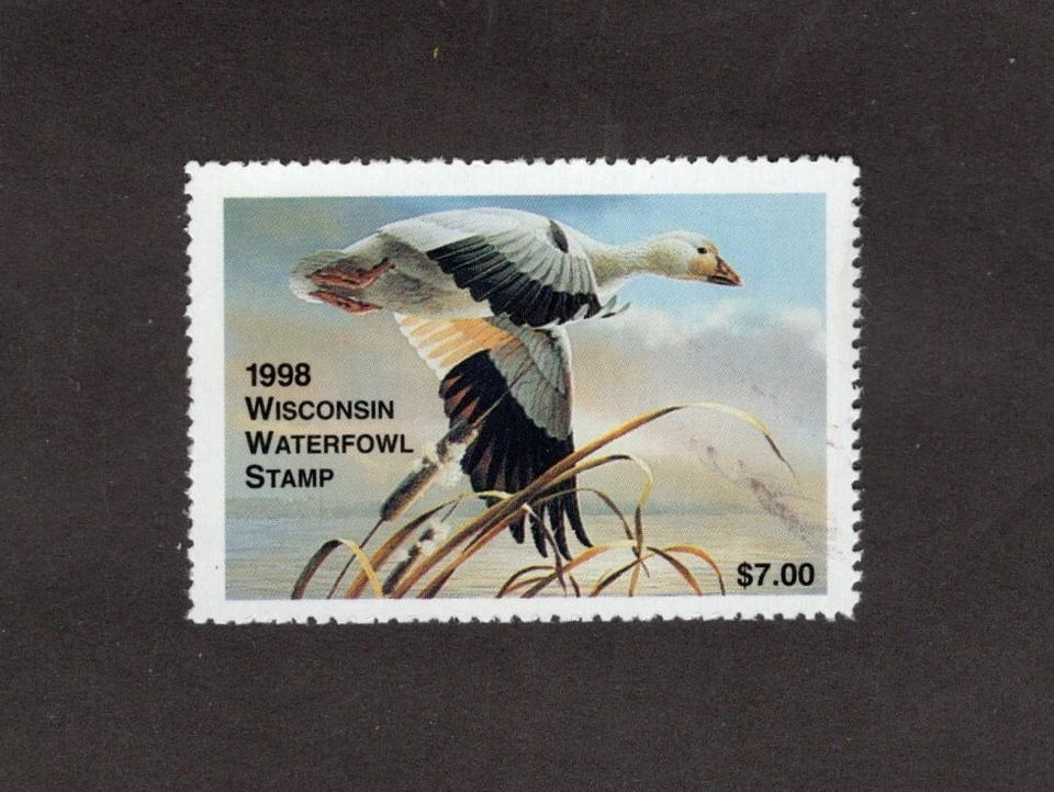 WI21 - Wisconsin State Duck Stamp.  1998 Single. MNH. OG. - Image 1 of 1