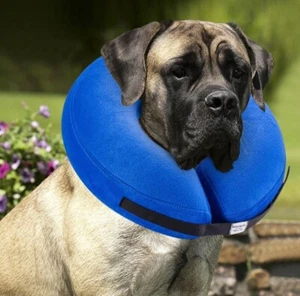 Protective Soft Pet Recovery Inflatable Collar for Dogs and Cats Sz XL - Picture 1 of 6