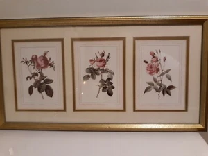 Framed Portal Publications "REDOUTE ROSES" MA3F 300 Lithograph Copyright 1992.🌹 - Picture 1 of 10