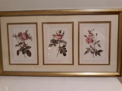 Litografia emoldurada Portal Publicações "REDOUTE ROSES" MA3F 300 direitos autorais 1992.🌹 - Imagem 1 de 4