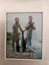 Weet bix card Our Pacific Island Neighbours Year 1974 No 4 Cook Island Fisherman