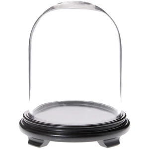 Plymor 8" x 10.25" Glass Display Dome Cloche (Black Wood Veneer Footed Base) - Picture 1 of 1