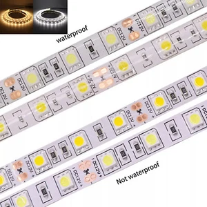 12V 5050 LED Strip Lights Warm/Cool White 60led/m Flexible Tape Waterproof IP65 - Picture 1 of 20