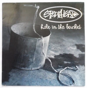 SPEARHEAD - HOLE IN THE BUCKET 12" VINYL 1995 CAPITOL 12CL742 *EX/G* - Picture 1 of 4