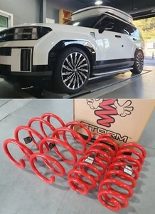 MUELLE REDUCTOR F&R 4 PIEZAS para SANTAFE (MX5) [STORM SPRING, S. KOREA] - Imagen 1 de 11
