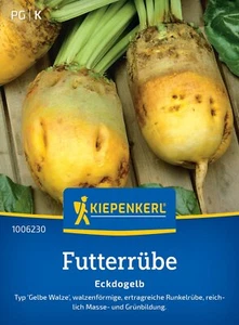 Futterrübe Eckdogelb, Gelbe Walze - ertragreiche Runkelrübe - Kiepenkerl - Bild 1 von 5