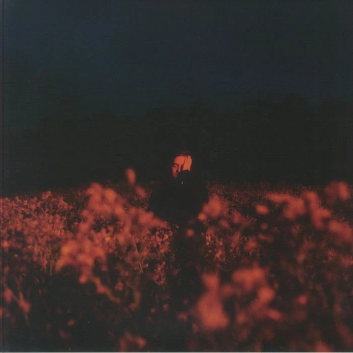 LEFTWICH, Benjamin Francis - Some Things Break - dark blue marbled vinyl LP Foto 1 de 1