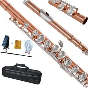 C Flute, Closed Hole 16 Keys, For Students, Beginners and Advanced Players, w... - Picture 1 of 7