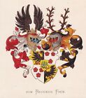 From Brucken Fock Wapen Emblem Coat Of Arms Blason Nederland Heraldry