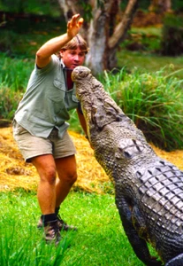STEVE IRWIN CROCODILE HUNTER Photo Magnet @ 3"x5" - Picture 1 of 3