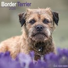 Border Terrier 2026 Wall Calendar Official