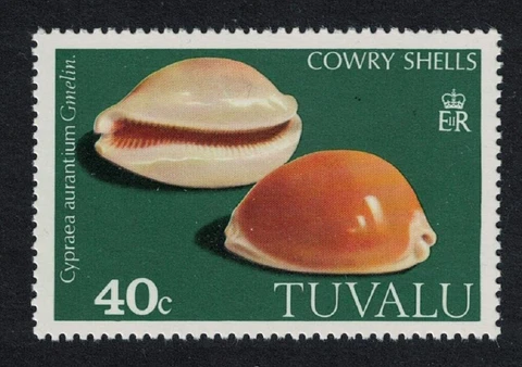 Tuvalu Golden cowrie Shell 'Cypraea aurantium' 40c 1980 MNH SG#142 Cover